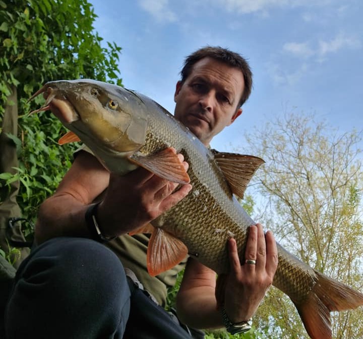 Alan Rogers 12-7 Roundabout Barbel